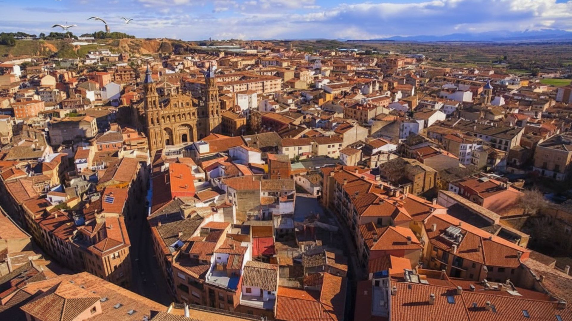 Vista aérea Alfaro La Rioja con Colegiata San Miguel - Pueblo más barato comprar casa 761 euros metro cuadrado